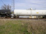 DOWX 73981